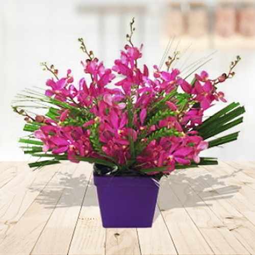 10 Purple Thailand Orchid Arrangement
