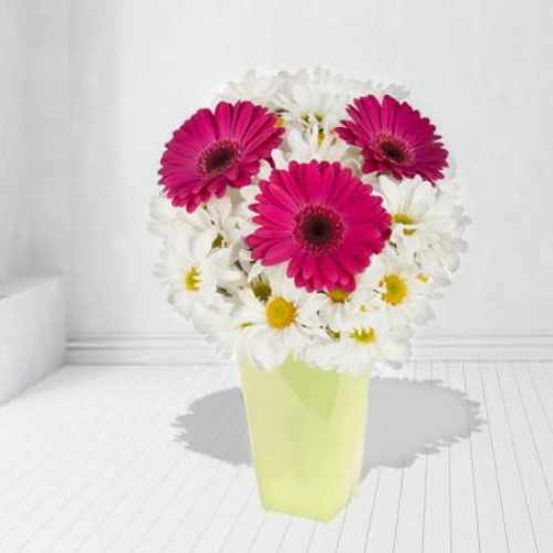 Gerbera N White Chrysanthemum In Vase