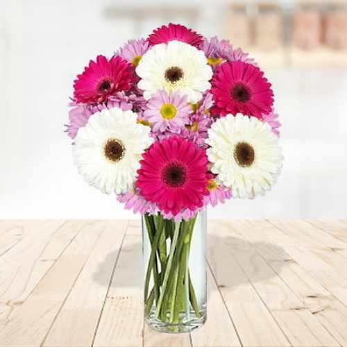 7 Gerberas And Chrysanthemum In A Vase