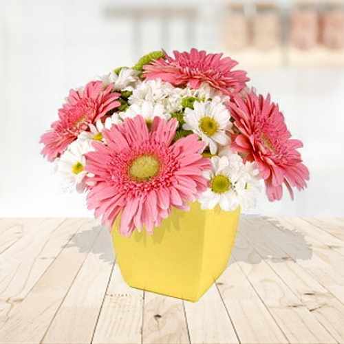Pink Gerberas And Chrysanthemum In Vase