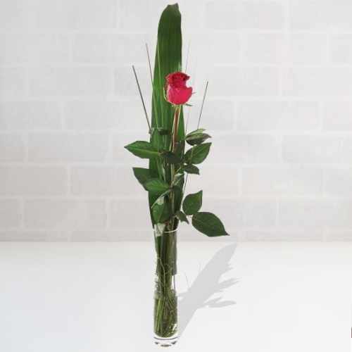 Single Red Rose In A Vase