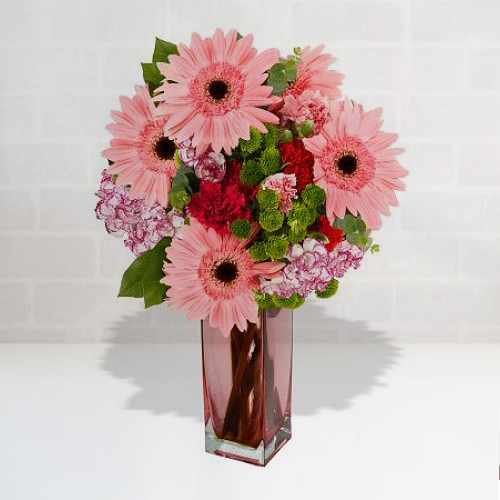 5 Pink Gerberas In Vase
