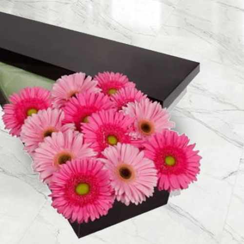 12 Pink Gerberas In A Gift Box
