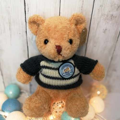 Teddy Bear Dressed In Blue