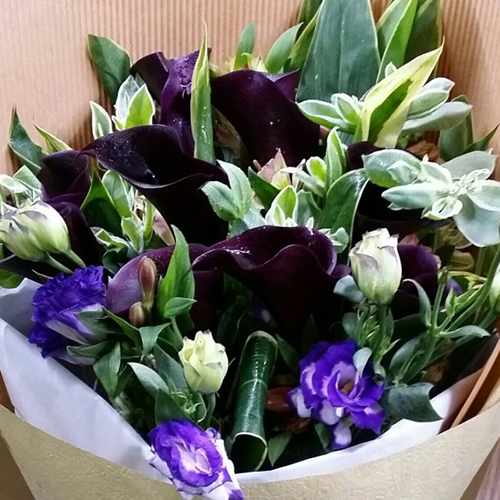 Bouquet Of Purple Calla Lilies