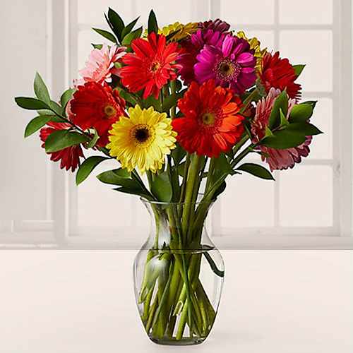 Mixed Gerberas In Vase