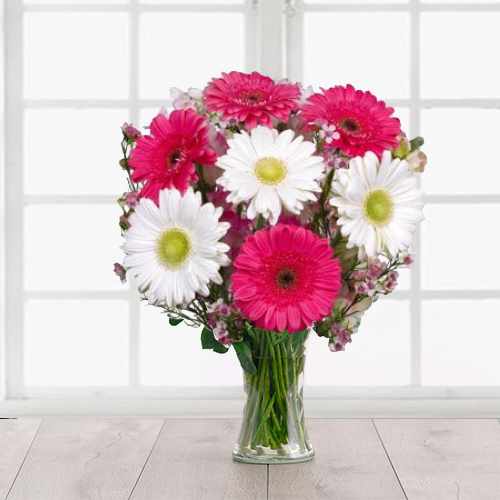 White And Pink Gerberas In Vase