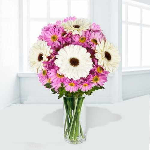 Gerberas And Chrysanthemum In Vase