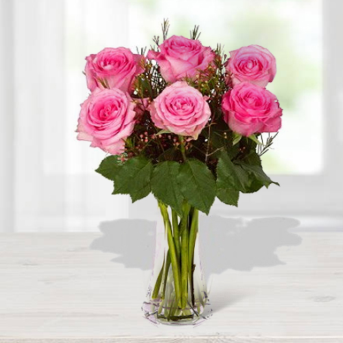 6 Pink Rose In Vase